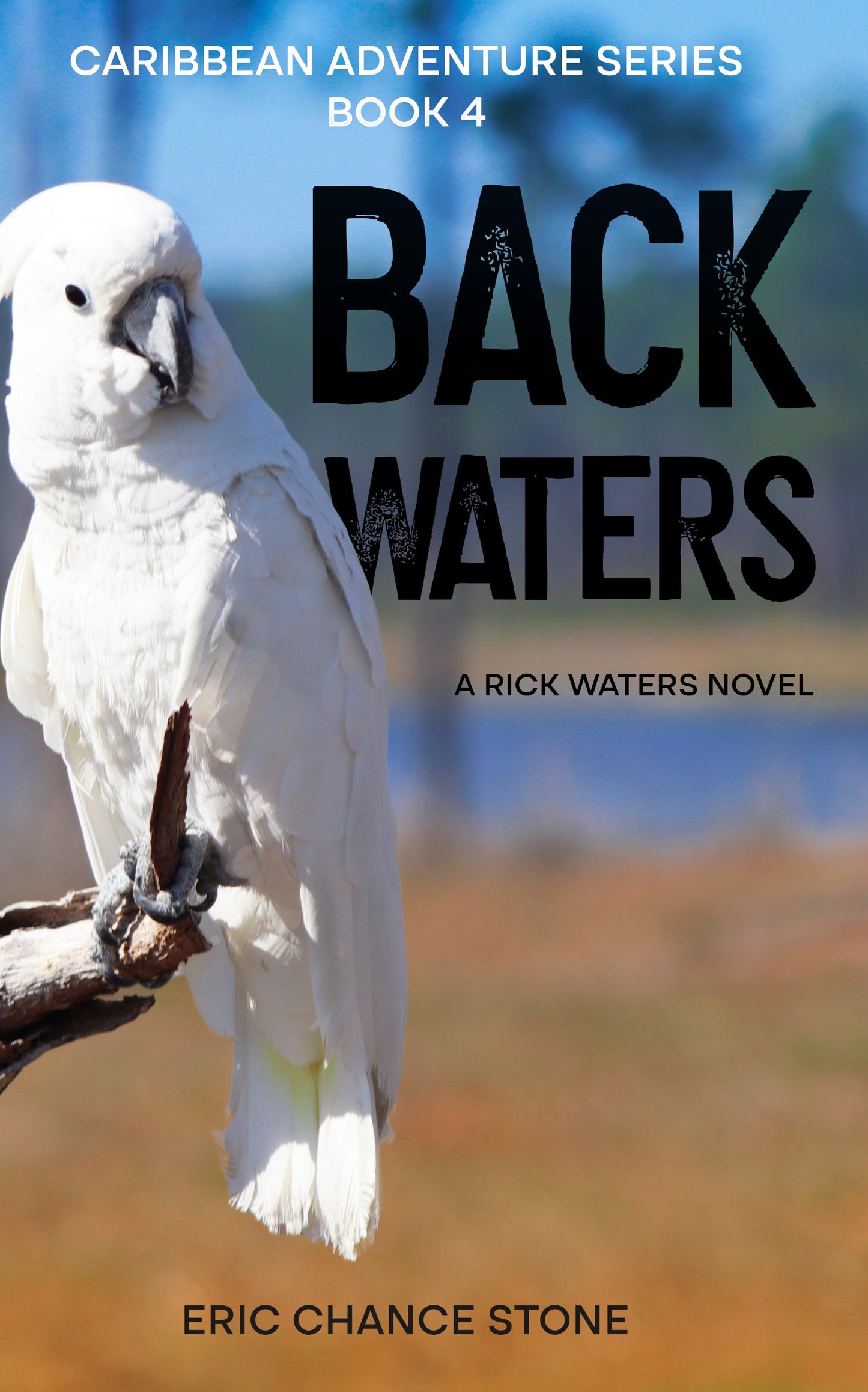 Back Waters Paperback - Book 4: A Rick Waters Novel (Caribbean Adventure Series)