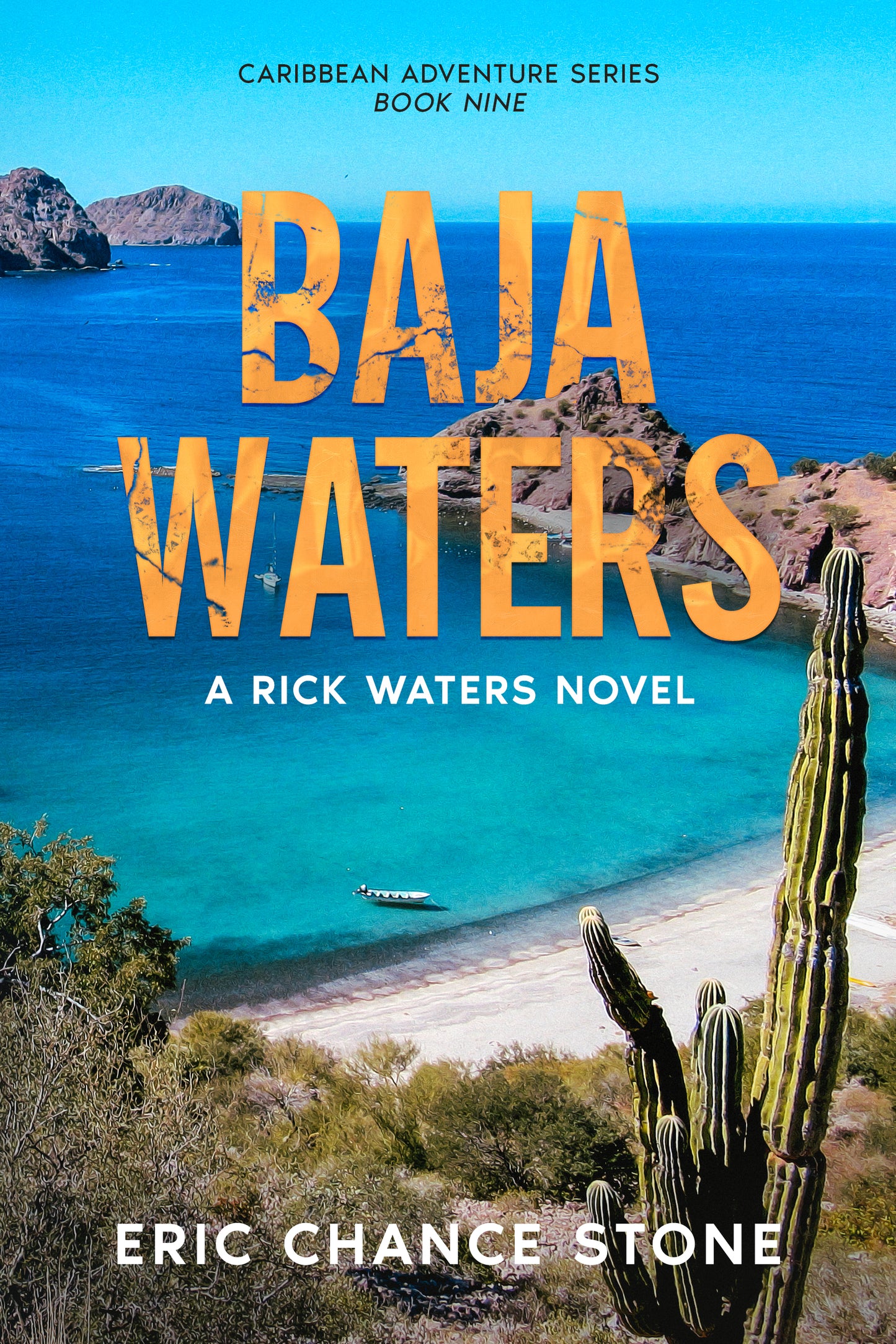 Baja Waters Paperback - Book 9: A Rick Waters Novel (Caribbean Adventure Series)