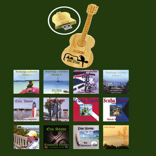 Guitar Shaped Flash Drive w/Free Paperback