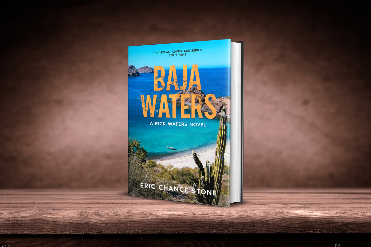Baja Waters Paperback - Book 9: A Rick Waters Novel (Caribbean Adventure Series)