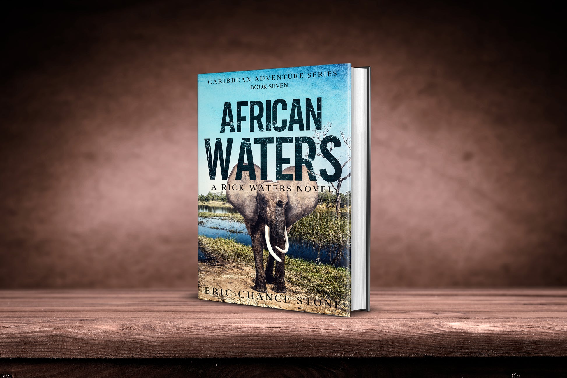 African Waters Paperback - Book 7: A Rick Waters Novel (Caribbean Adventure Series)