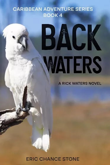 All Ten Paperbacks in the Rick Waters Series